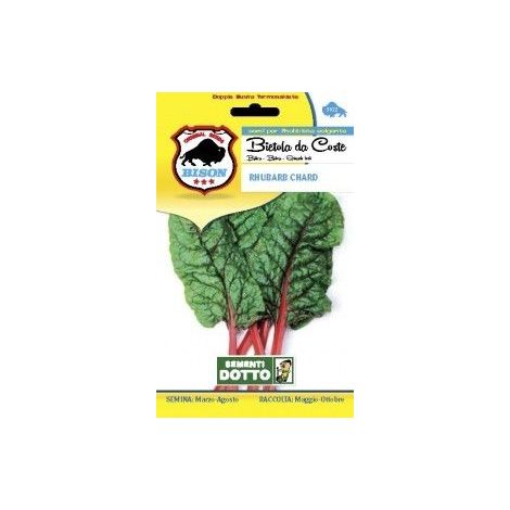 SEMENTI BIETOLA RHUBARB CHARD