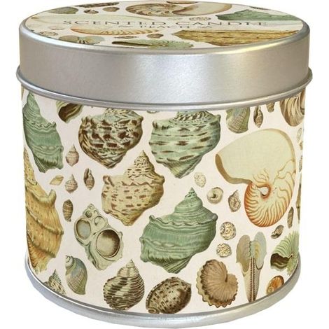Vela aromática con aroma a conchas marinas y melocotón.