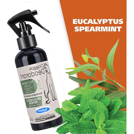 KineShineX Pet Odor Eliminator Spray beseitigt effektiv hartnäckige Uringerüche und kann auf Böden, Möbeln und in verschiedenen Umgebungen verwendet werden. (1/5)