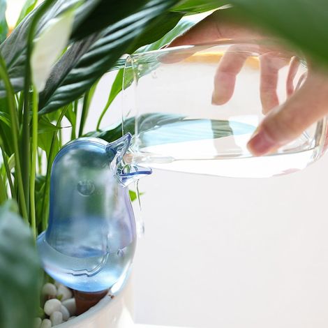 Arrosoir Automatique Forme Oiseau - Arrosoir Autonome pour Plantes d'Intérieur - Capacité 16,6 x 7 cm - En Plastique - 1 Pièce (1/3)