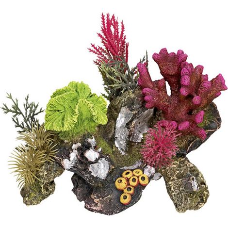 Nobby Pietra di Corallo con Piante Ornamentali per Acquario, 17 x 12,5 x 12 cm (1/2)