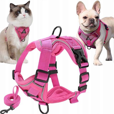 Harnais de protection sans pression + laisse pour chat et chien (1/5)