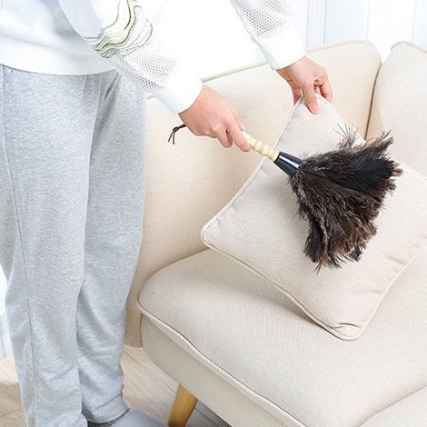 Brosse antistatique en plumes d'animaux, brosse douce pour le dépoussiérage avec manche en bois (1/5)