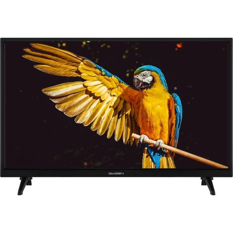 Televisore GoGEN TVH24A336 da 24 pollici