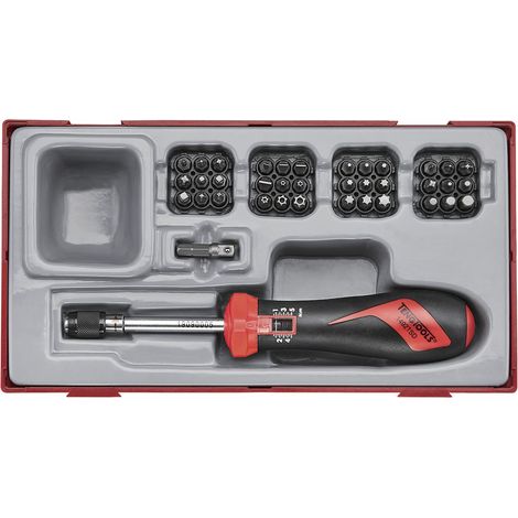 Tournevis dynamométrique et embouts TT1 tray 1/4'' Plat- PH- PZ- TX- TPX- HEX- ROB- GR 38 pièces Teng Tools TTSD38 (1/2)