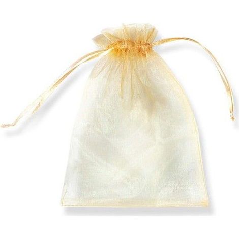 Sachets à cordon transparents - 100 pièces - 20x30 cm - Transparence - Cordon pratique - Décoration festive - Polyvalent (1/3)