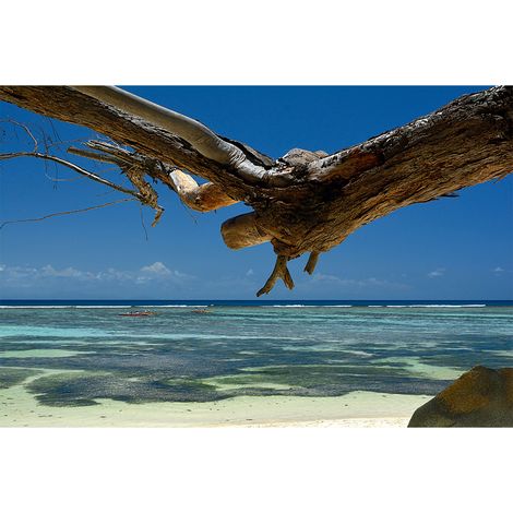 Papier peint panoramique nature pour salle de bain Tapisserie panoramique bord de mer bleue et marron Papier peint panoramique arbre (1/2)