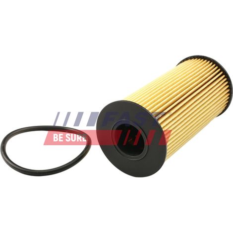 Ölfilter FT38031 schnell (1/2)
