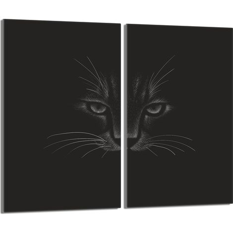 Piastra protettiva in vetro per la stufa 2x30x52 Cat (1/5)