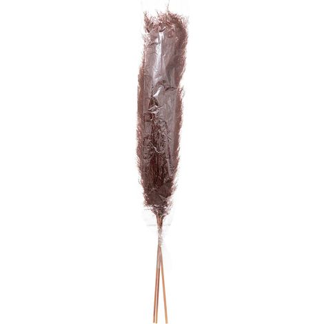 Juego de 3 flores secas Pampa natural - H110 cm - Atmosphera créateur d'intérieur