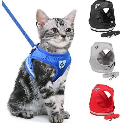 Cage de transport pour chat bleu L, Kattsele anti-évasion, panier de voyage sécurisé, sortie sans fuite, taille grand, portable et robuste (1/5)