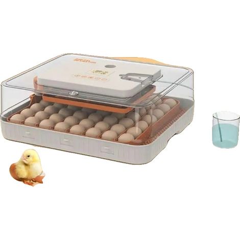 Incubatrice, struttura in plastica di alta qualità, dimensioni 42 x 30 x 24 cm, capacità 56 uova, controllo della temperatura da 20°C a 40°C, controllo dell'umidità regolabile. (1/5)
