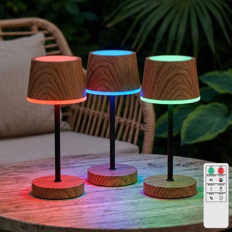 Lampada da tavolo da esterno a 3 LED RGBW con dimmer touch, memoria, batteria ricaricabile, effetto legno ed effetto fiamma, IP54 (1/5)