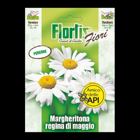 MARGHERITONA REGINA DI MAGGIO (1/2)