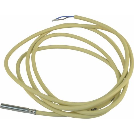 Sonda caldaia QAZ21 2M