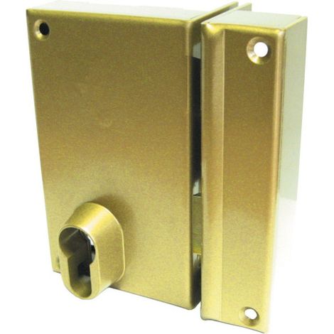 Serrure en applique verticale pêne dormant série 9800 - METALUX (1/3)