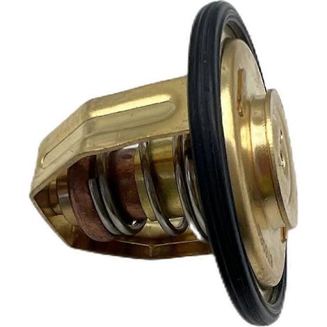 60°-Thermostat-Kit für AQ115 AQ130 MD2 MD3 MD11 876097 876080 875781 858640 (1/5)