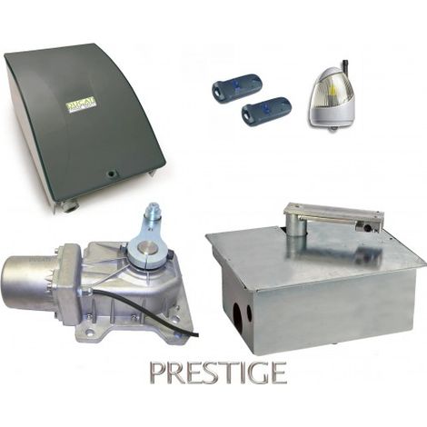 Kit Motorisation Portail Automatisme Ducati Home Automation GEO 548B MONO - Pour portail battant 1 vantail jusqu'à 2,5m max 500 kg (1/5)