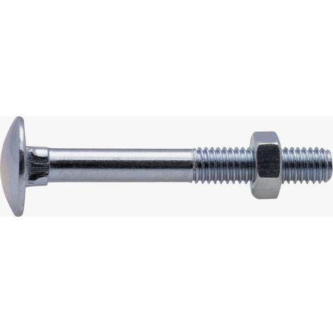 Boulon zingué TRCC Viswood Ø6x40mm (lot de 9 boulons)