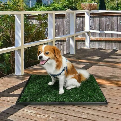 1 Toilette pour chien avec tapis herbe, pot apprentissage propreté chiot, accessoire intérieur extérieur plastique lavable (1/3)