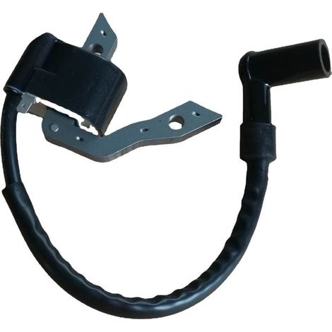 Bobine d'allumage haute tension EX27 EX30, adaptée aux moteurs Robin EX27/EX30. (1/4)