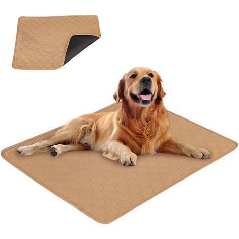 Tapis de dressage ultra absorbant pour chien, surmatelas réutilisable pour chiens et chiots, adapté aux chiens/chats/cochons d'Inde (1 x 70 x 50 cm) M Beige (1/5)