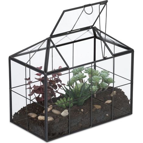 Terrario para plantas de interior - Invernadero de cristal con forma de casa