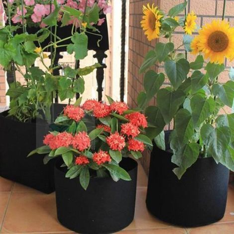 Sac De Culture - Non Tissé - 30 Gallons - Pour Plantes En Potager Ou Serre - Noir - 1 Pièce (1/4)