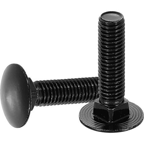 (304) Boulons à tête ronde et collet carré en acier inoxydable pour la fixation de raccords (paquet de 10, M10 x 40 mm, noir) (1/5)