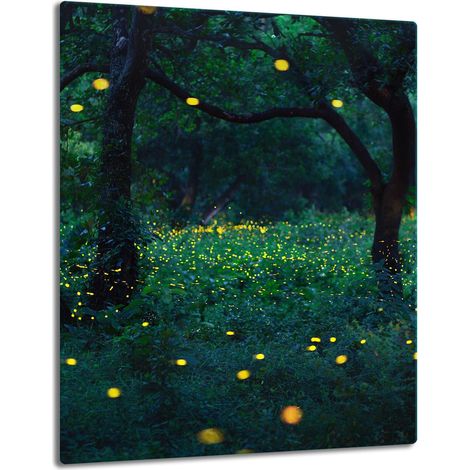 GLASPLATTE, TISCHPLATTE 40x52 ABENDS (1/5)