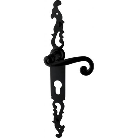 Poignées de porte fer forgé COQ 330x36mm noir à saillie rehaussée Trou de cylindre i 330X36 mm - SECURY-T (1/5)