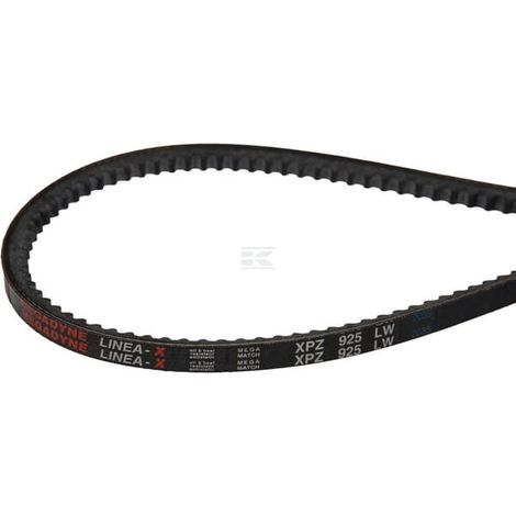Cinghia GIANNI FERRARI 0017000310 (1/2)