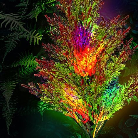 Due set di lampioni solari a LED per esterni, luci da giardino a quattro colori in pino e cipresso, luci decorative natalizie da giardino (2 pezzi/multicolore) (1/5)