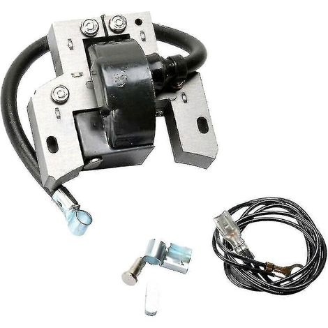 Bobine d'allumage pour moteurs Briggs & Stratton 591420, 398593, 496914, 793281 et 792395 (1/4)