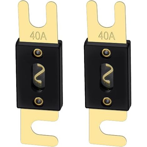 ANL 2 x 40A Gold Black Car Audio System ANL-40 Fuse (1/5)
