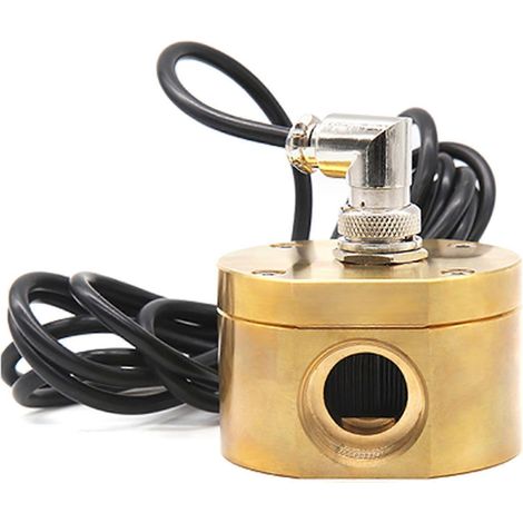 Débitmètre DN20 3/4" pour engrenages, capteur de débit, débitmètre de liquide pour produits pétrochimiques et carburants, multicolore (1/5)