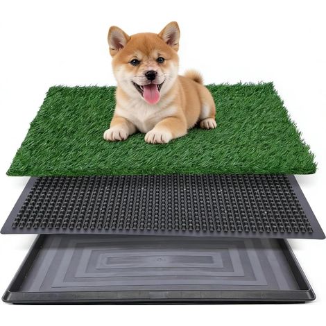 Hundetoilette – 1 Stück – Polypropylen – 3-lagiges Drainagesystem – Für Innen-, Außen- und Balkonnutzung – 40,6 x 50,8 cm (1/5)