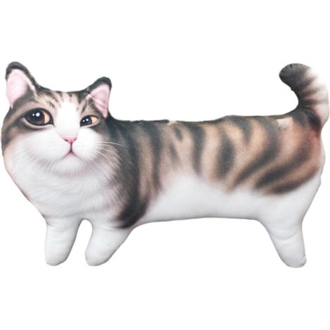 Cuscino a forma di gatto 3D, peluche, per cat café 45x29