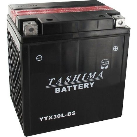 Batteria YTX30LBS + destra