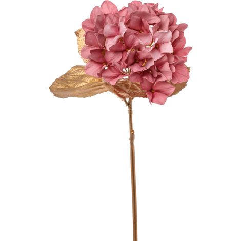 ARPIMEX Ortensia Singola H 60 Cm Rosa
