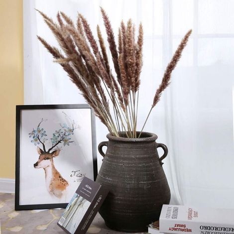 30 Pcs Piume di Pampas, 60cm Bouquet Secchi Fiore Naturali per Vasi, Decorazione Boho Camere Salotti Matrimoni Fotografia (1/3)