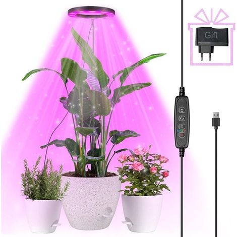 Pflanzenlampe – Gartenbaulampe – Pflanzenbeleuchtung