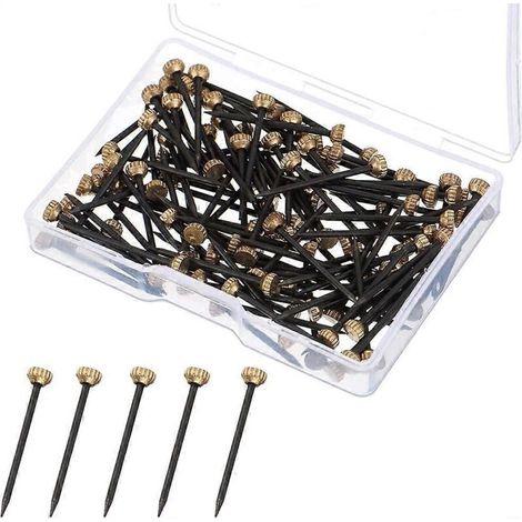Lot de 50 clous pour accrocher des tableaux - Petits clous en acier noir à tête en laiton - Pour tableaux et décorations murales, avec boîte de rangement en plastique-AquaForge