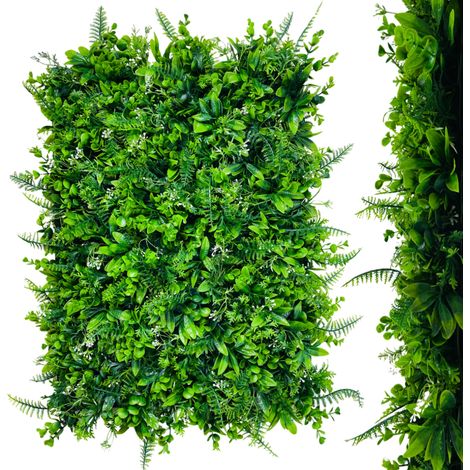 Parete verde - pannello vegetale con tuia, felce, eucalipto e gipsofila (1/5)