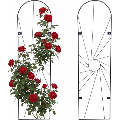 Wall Trellis Set, 2-Pack Powder-Coated Steel For Climbing Plants (1/5)