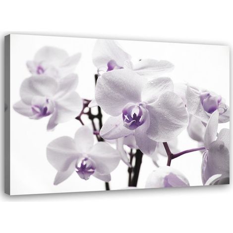 Tableau sur toile Orchidée Fleur Lila 60x40 (1/5)