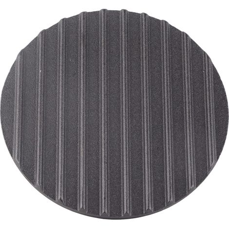 Prensa para carnes y brochetas – prensa redonda de hierro fundido con mango de madera – modelo compacto de 18 x 18 x 8 cm – para carnes y verduras a la parrilla (1/5)