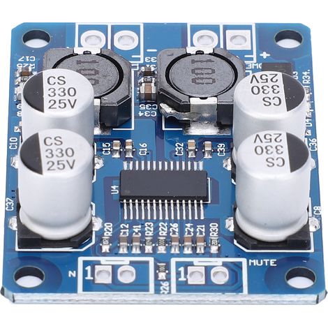 Leistungsverstärkerplatine 60W Mono Digital Audio Elektronisches Bauteil TPA3118 824VDC (1/5)