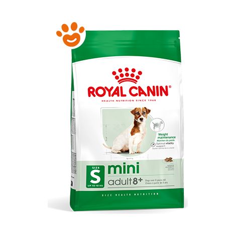 Royal Canin SHN Dog Mini Adult 8+  - Royal Canin SHN Dog Mini Adult 8+ - Sacco Da 2 Kg