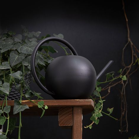 Arrosoir à long bec en acier inoxydable pour fleurs, pot d'arrosage domestique et de jardinage, arrosoir sphérique portatif en métal (1/5)